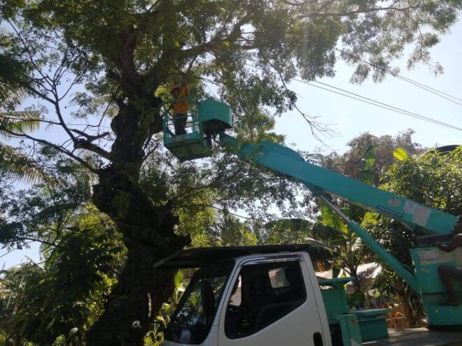 NEA and NONECO conducted Nationwide Line Clearing Day: Cadiz