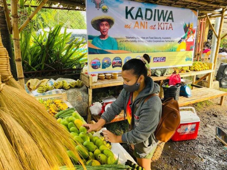 KADIWA NI ANI AT KITA ( NONECO MCO'S MARKET DAY)