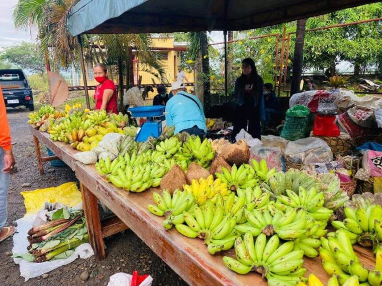 KADIWA NI ANI AT KITA ( NONECO MCO'S MARKET DAY)