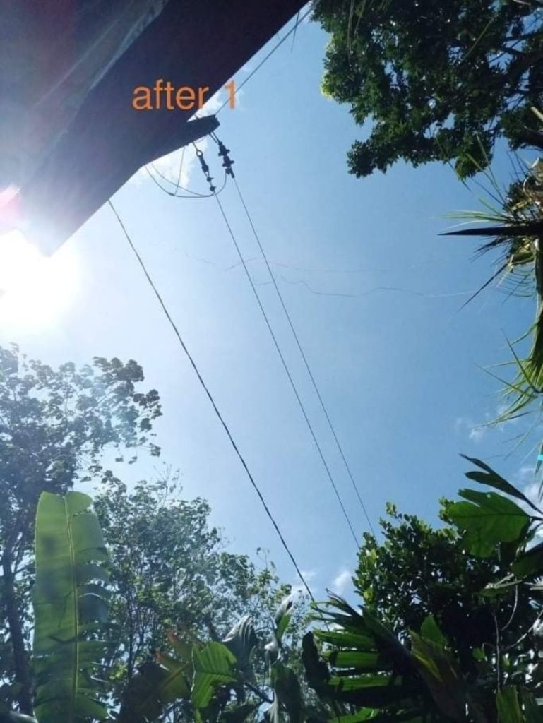 NEA and NONECO conducted Nationwide Line Clearing Day: EB MAGALONA AREA