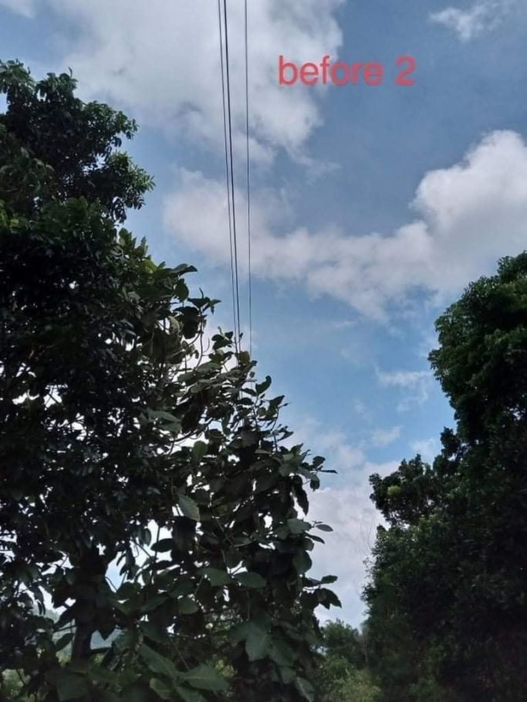 NEA and NONECO conducted Nationwide Line Clearing Day: EB MAGALONA AREA