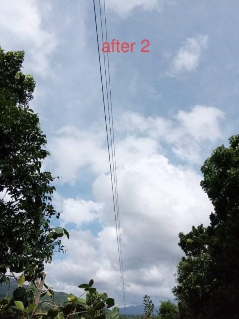 NEA and NONECO conducted Nationwide Line Clearing Day: EB MAGALONA AREA