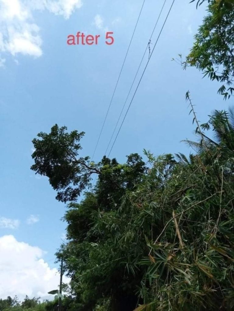 NEA and NONECO conducted Nationwide Line Clearing Day: EB MAGALONA AREA