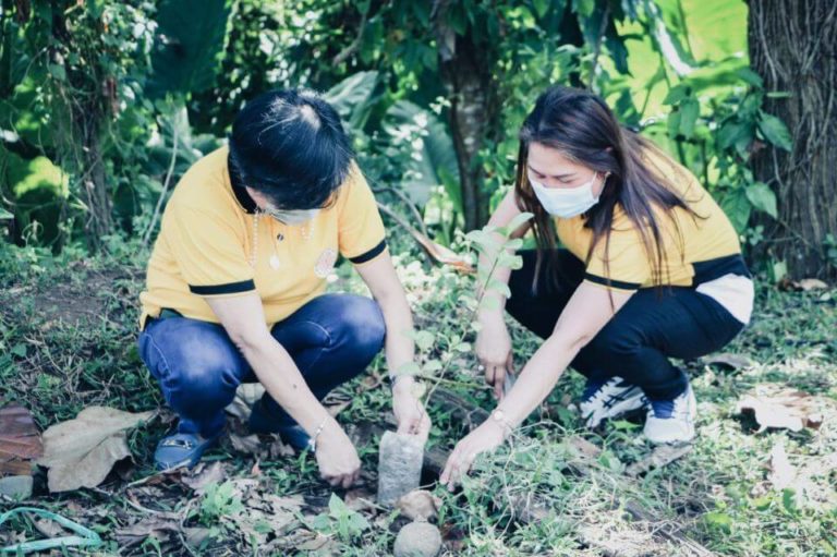 NONECO CSR: NONECO Tree planting Activity