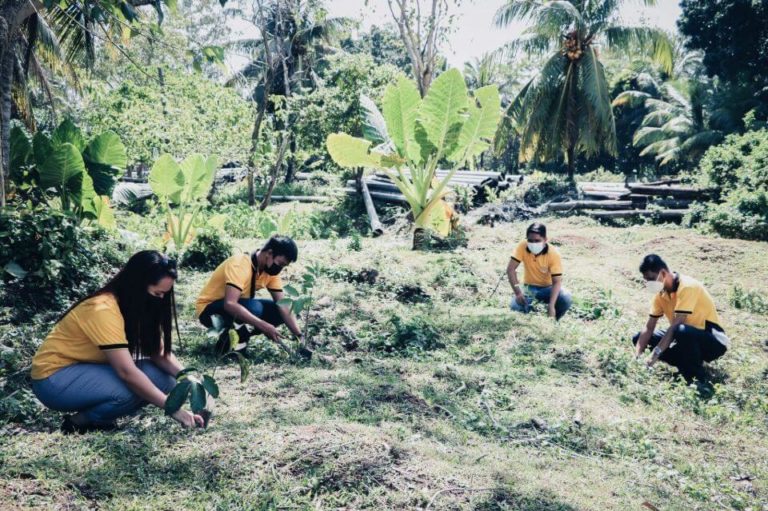 NONECO CSR: NONECO Tree planting Activity