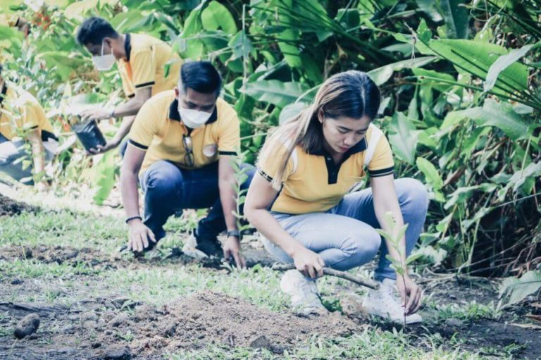 NONECO CSR: NONECO Tree planting Activity