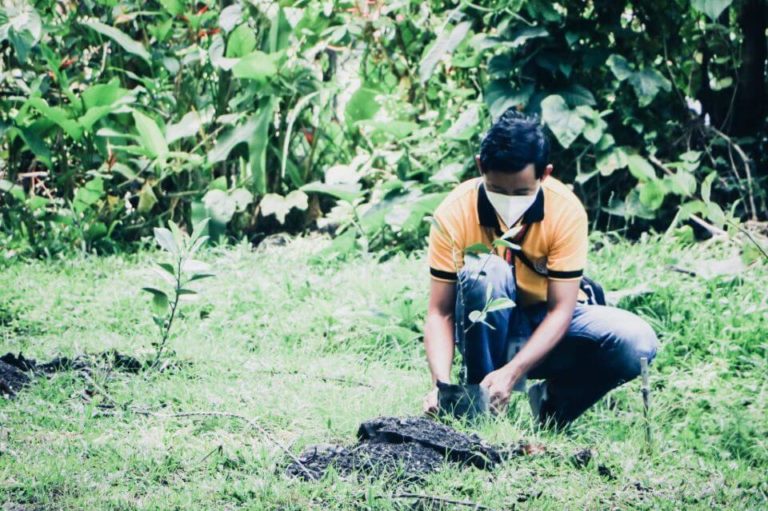 NONECO CSR: NONECO Tree planting Activity