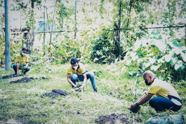 NONECO CSR: NONECO Tree planting Activity