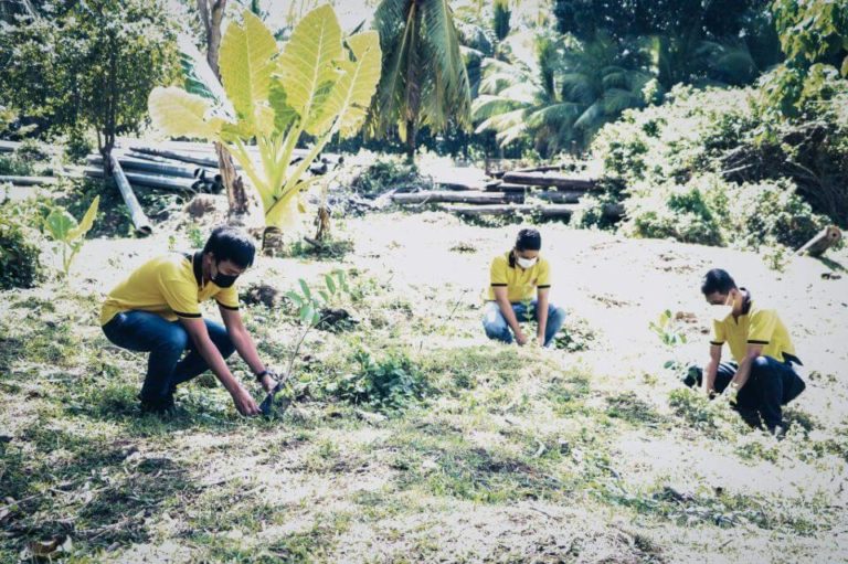 NONECO CSR: NONECO Tree planting Activity