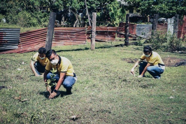 NONECO CSR: NONECO Tree planting Activity