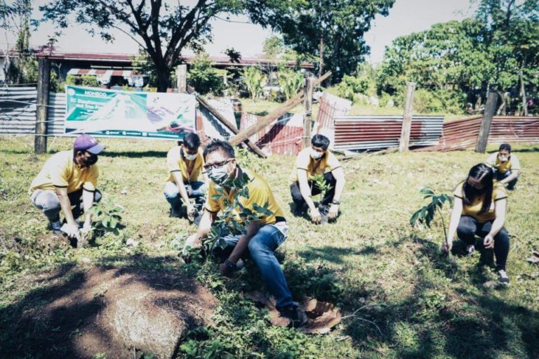 NONECO CSR: NONECO Tree planting Activity