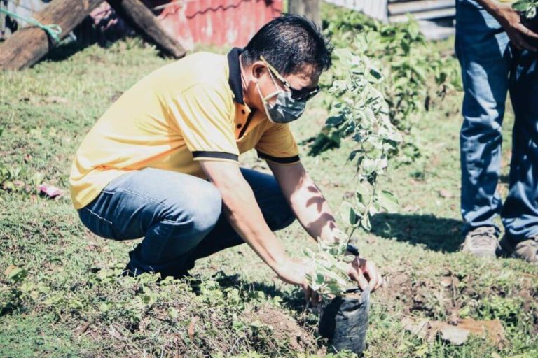 NONECO CSR: NONECO Tree planting Activity