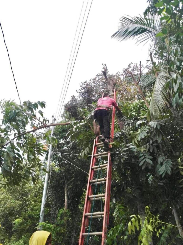 NONECO Maintenance Activity: Massive Line Clearing Activities at Hda. Julie, Brgy. Tinampa-an