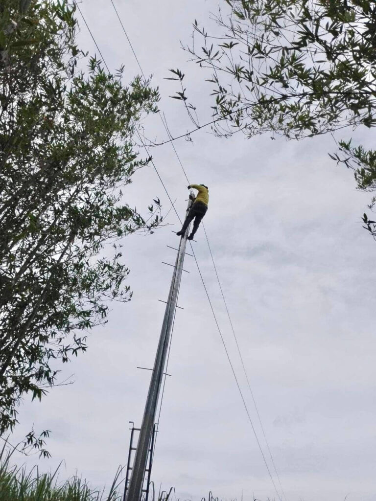 NONECO Maintenance Activity: Massive Line Clearing Activities at Hda. Julie, Brgy. Tinampa-an